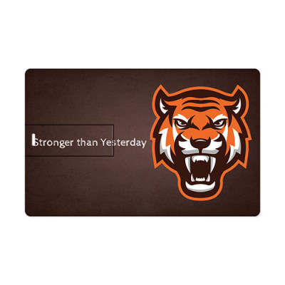 Pen Drive - Tiger